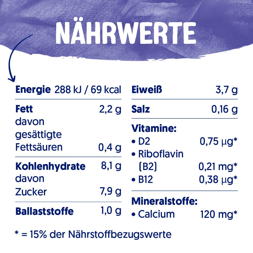 alpro-soja-joghurtalternative-heidelbeere-400g-vegan image 2