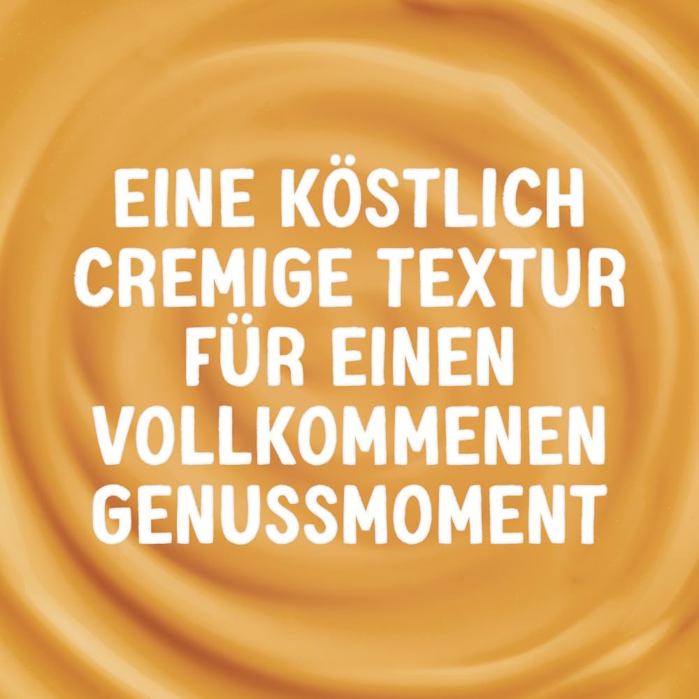 alpro-soja-dessert-karamell-pudding-4x125g-vegan-cremig image 5
