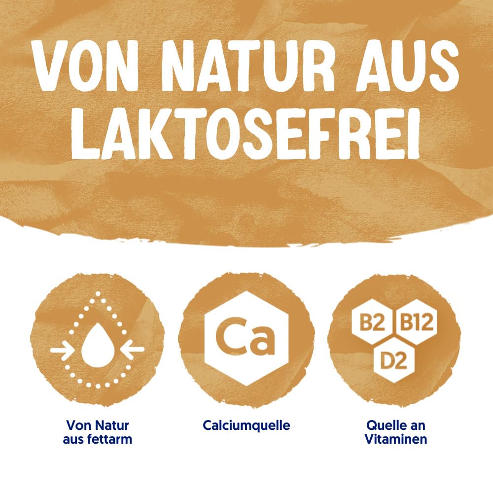 alpro-soja-dessert-karamell-pudding-4x125g-vegan-cremig image 3