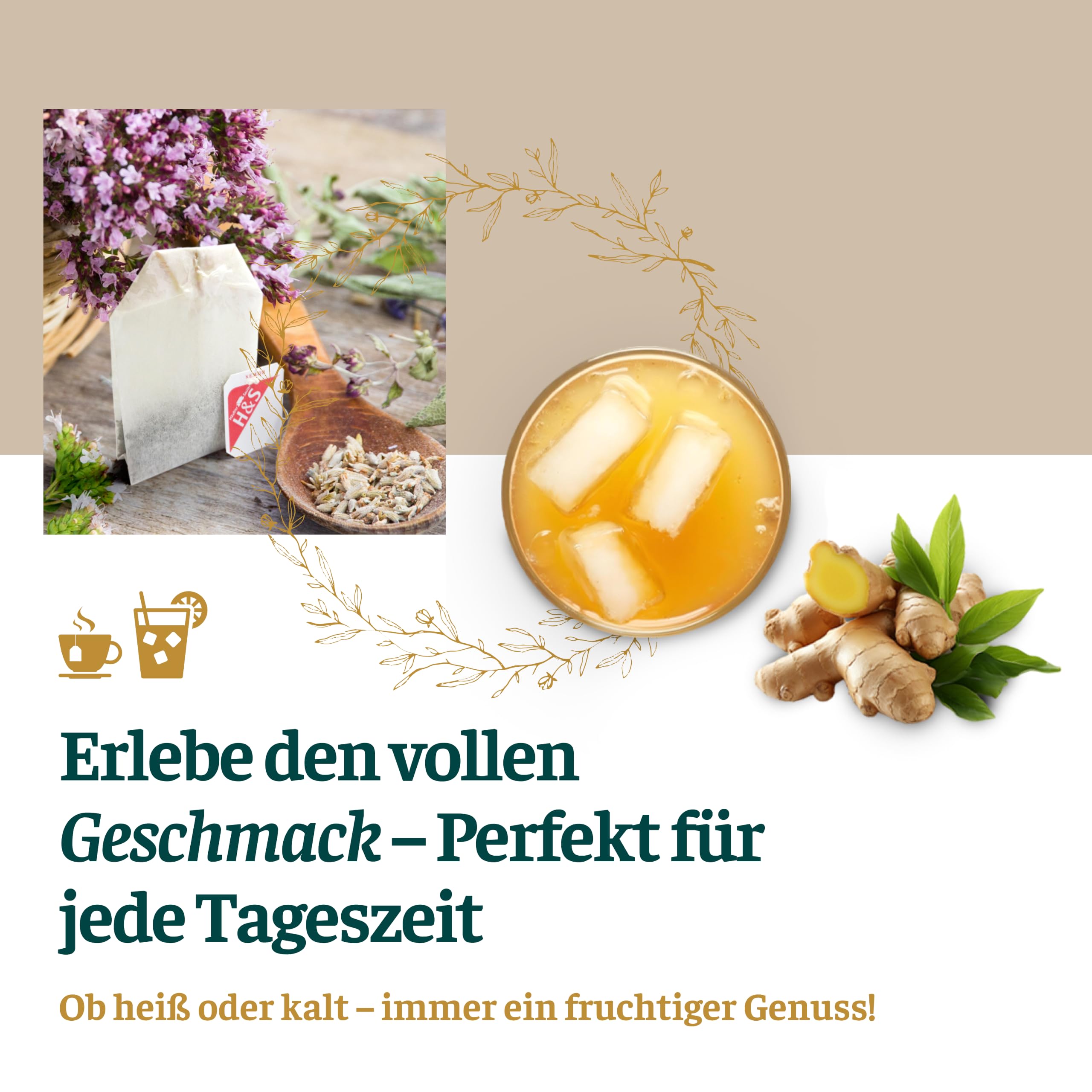 h-s-holunder-echinacea-tee-20x2-5-g-mit-vitamin-c-und-zink image 3