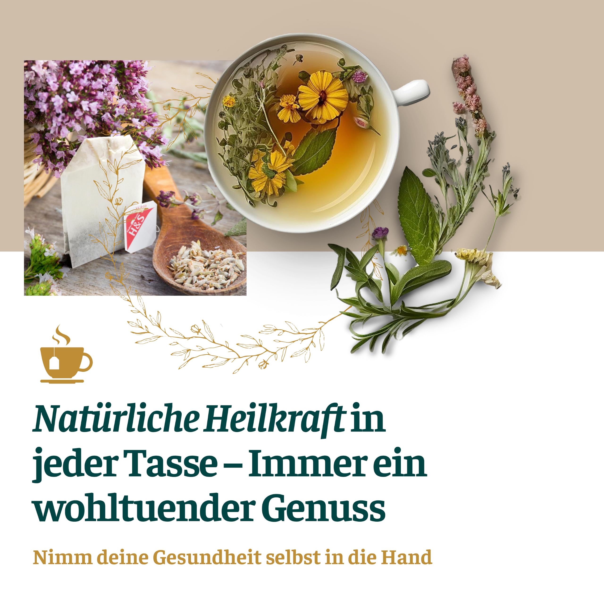 h-s-blase-und-niere-nr-2-arzneitee-20x2g-b-rentraube image 3
